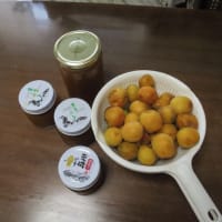 本年は、庭の梅の木から梅ジャムが・・・。