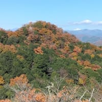 足利・紅葉の大坊山から山頂番屋まで