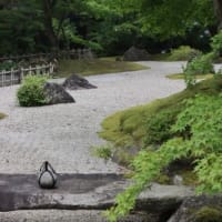 アイスクリームのさじ