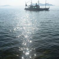 064　光る海