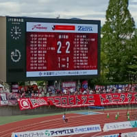 初のＪ１で奮闘する今季のファジ！　これまでを振り返る！！