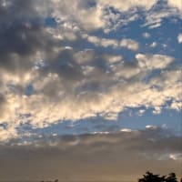 今朝の東の空模様