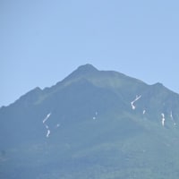 夏至を迎えたオホーツク🎥