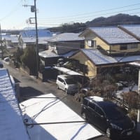 明けましておめでとうございます😊