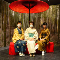 岐阜伝統工芸品　和傘