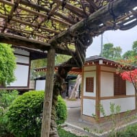 証拠の体重計