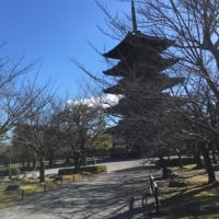 東寺の終い弘法。