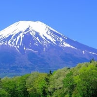 春の霊峰富士（5/14 m）