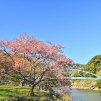 昨日のニュース☚この分野☛医療科学“完全終了”です