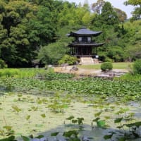 勧修寺Ⅱ
