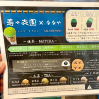 浅草で世界一濃い抹茶ジェラートが食べれる店
