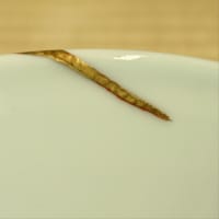 蛍袋
