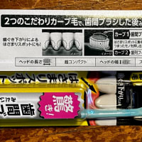 月イチ歯ブラシ