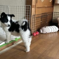 みなと、最終日