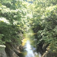 新緑の川内町