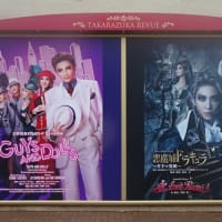 宝塚歌劇花組公演～悪魔城ドラキュラ、愛，Love Revue！