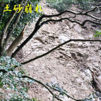 芋谷　再び土砂崩れ