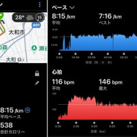 早朝ラン８ｋｍ & スイム１０００ｍ