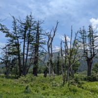 群馬/栃木の旅　（6月中旬）