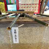 年末詣