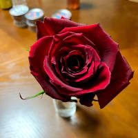 薔薇にも色んな意味があるが、綺麗って事だけでいいんじゃねーか？