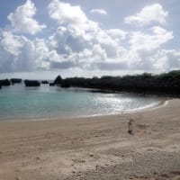 07/04旅日記-2：宮古島への旅2日目－②（保良漁港の断崖＆奇岩、）