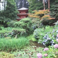 関西花の寺２５ゕ寺　第１５番・岩船寺