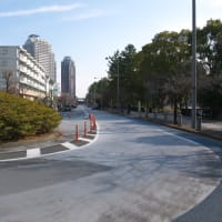 １月のレインボーブリッジ：ゆりかもめお台場海浜公園駅から歩行者遊歩道入口前へ　ＰＡＲＴ２