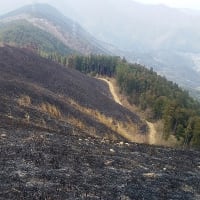 今年も岩湧山の山焼きが行われました。　その1　　2024年4月7日