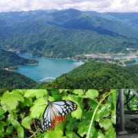 ５／２３（土）神奈川県愛川町「仏果山～高取山」．．．近くの山で「ウォーキング登山」です