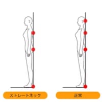 正しい姿勢を保てていますか？
