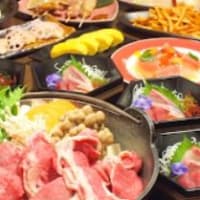 めっちゃおしゃれで落ち着く居酒屋