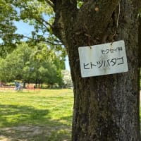 名古屋帰省