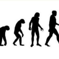 「進化する」と言うが、いったい何が進化しているのか？