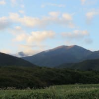 Hyggeにも秋の気配とネット修繕