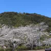 「また一つ大切な思い出が・・・」