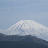 芦ノ湖と富士山、実に美しい日本の風景です・・・海賊船にロープウエイで大涌谷へ　黒たまご、ハイボールで富士山に乾杯！