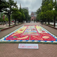 FLOWER  CARPET  2025