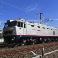 山陽本線EF510形300番台　甲種輸送　2024-08-07