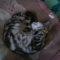 チビ４日目