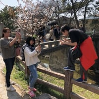 久しぶりの家族写真。