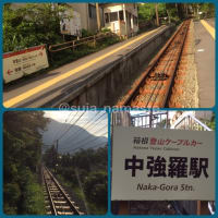 箱根とオールスターとウォーキングと