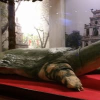 ハノイ市内観光①ハノイ大教会・ ホワンキエム湖