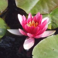 投稿の方法すっかり忘れた？