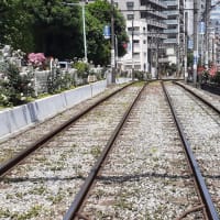 都電と薔薇／大塚駅前ー向原間の坂