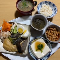 今日の夕食