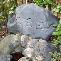 三嶋大社　再訪