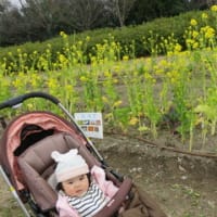 夏妃ちゃんと太陽の塔