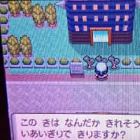 目指せポケモンマスター Dp 5夜 ポケモンのんびりと 目指せポケモンマスター Dp 5夜 ポケモンのんびりと