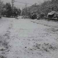那須にも雪が！